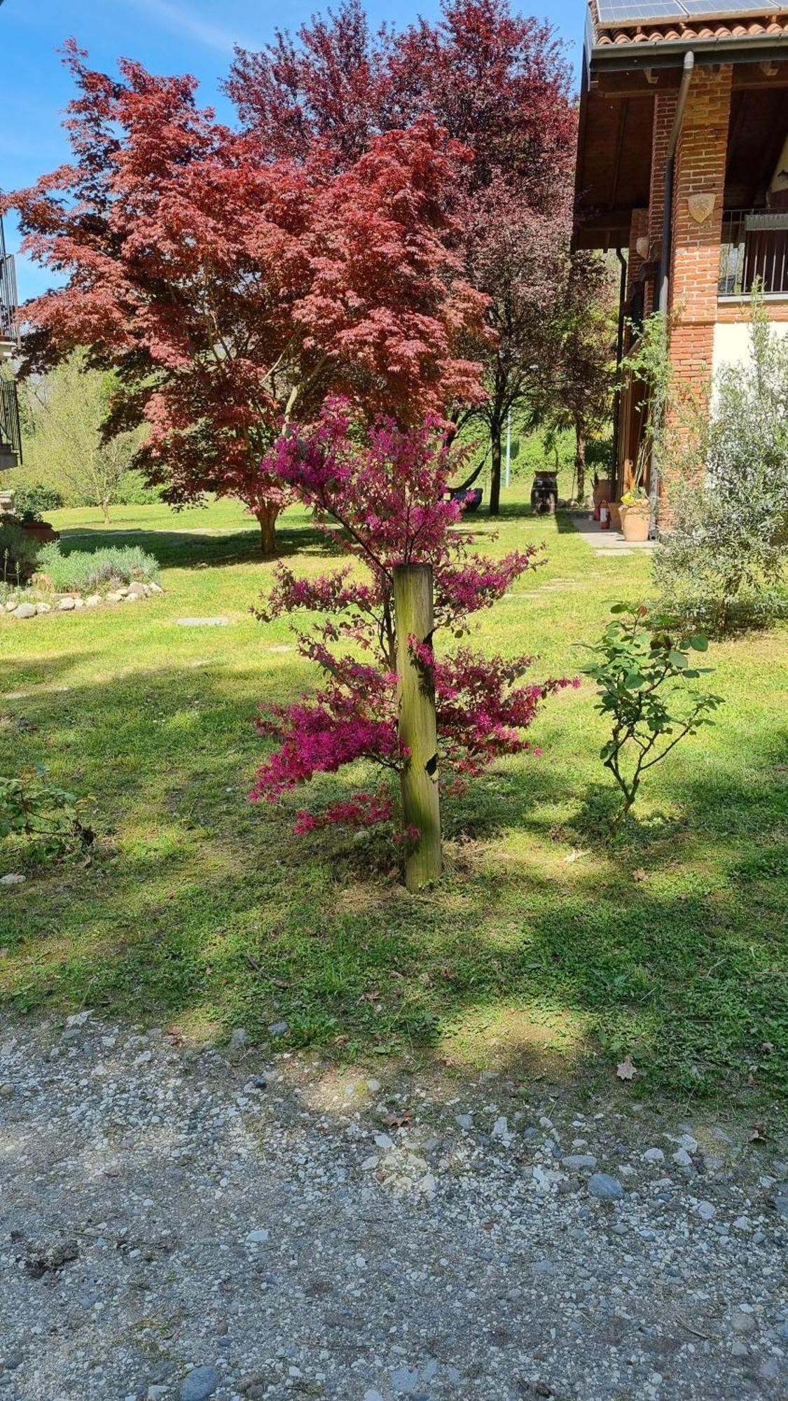 Pastorelli Vakantiehuis Osmate