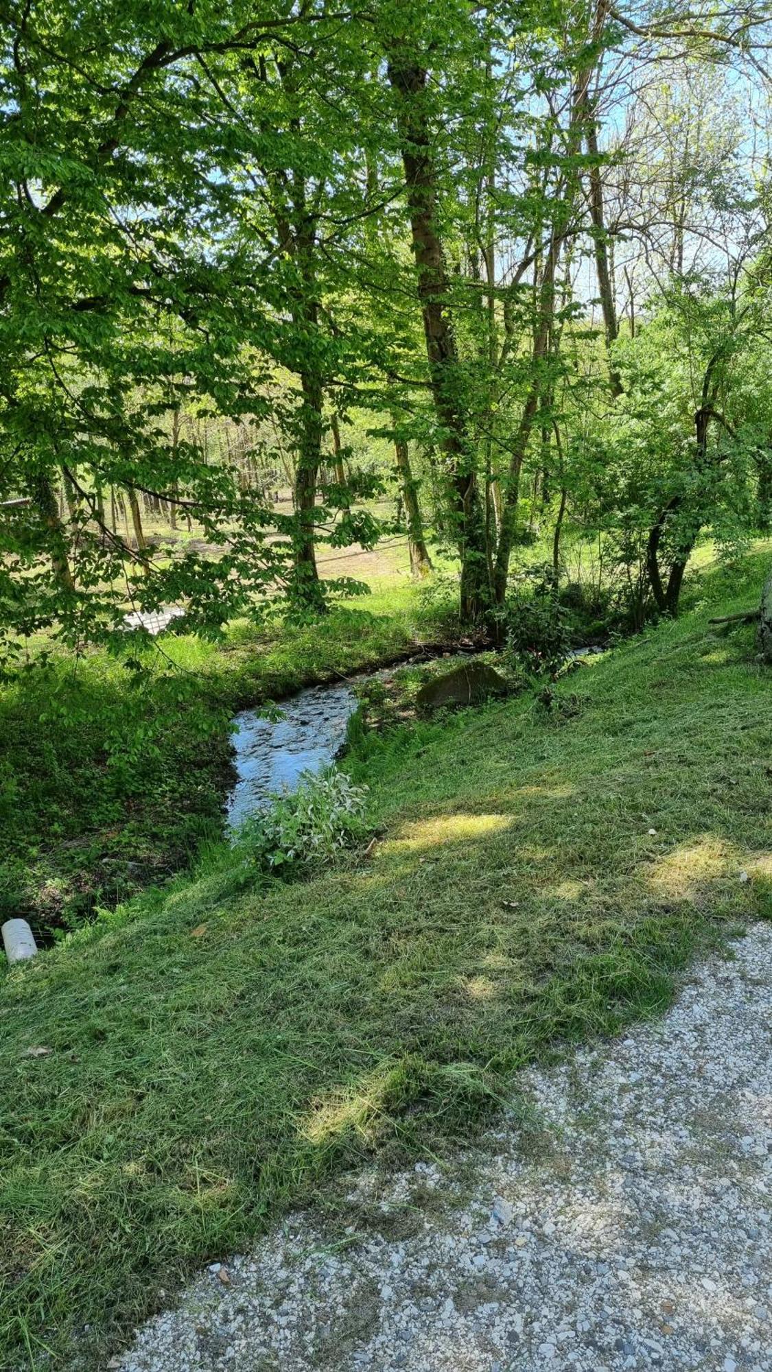Pastorelli Osmate